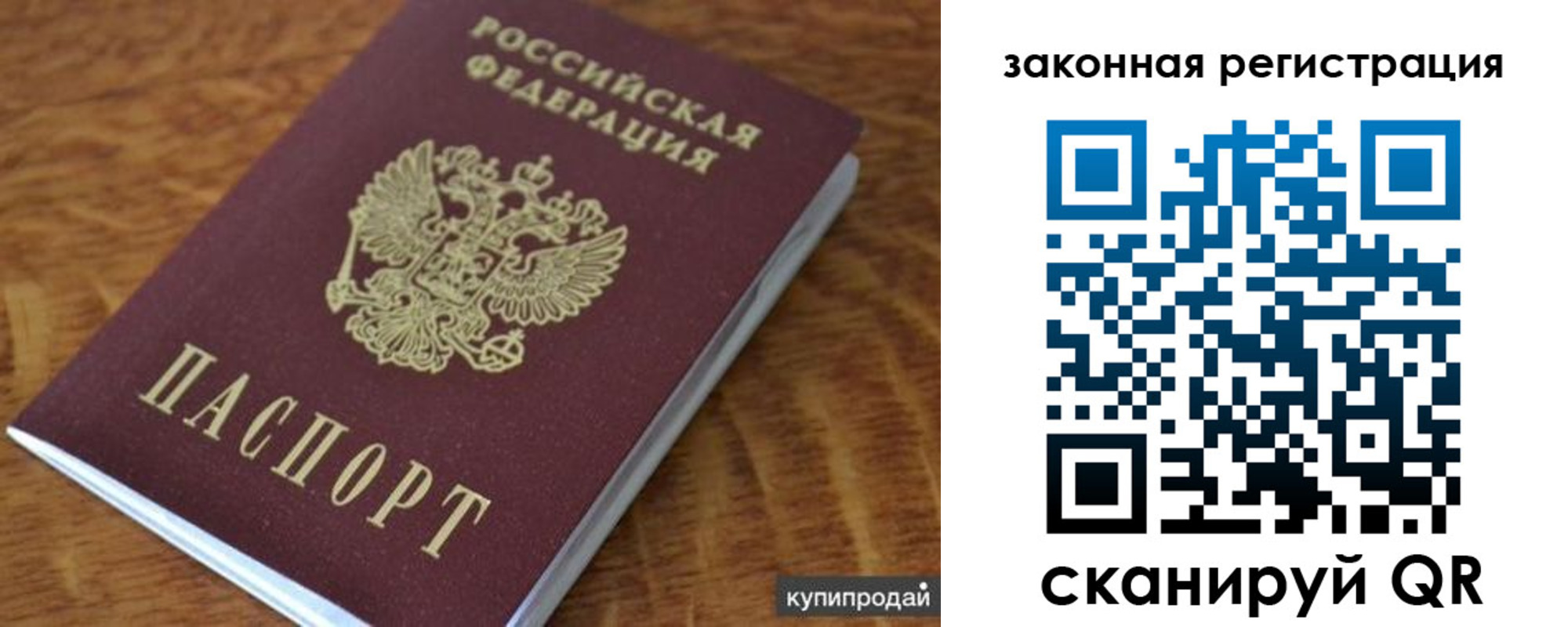 прописка гарантия в Ковдоре